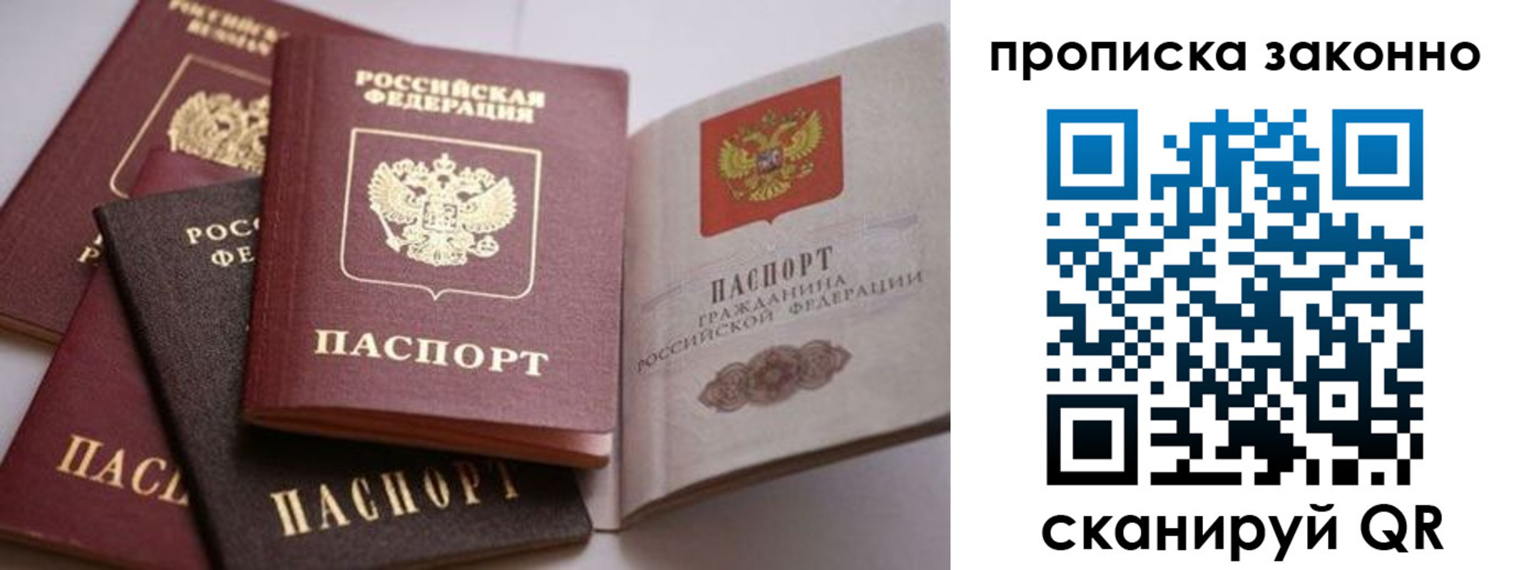 прописка 2025 в Светогорске